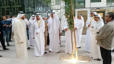 جامعة الكويت