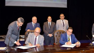 الإصلاح والنهضة