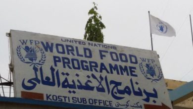 ليني كريستين كينزلي