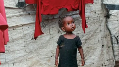 6 ملايين صومالي