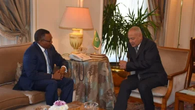 أبو الغيط لوزير خارجية السودان