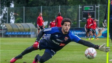 مصطفي شوبير