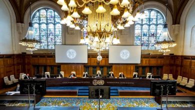 فريق المحامين الدولي