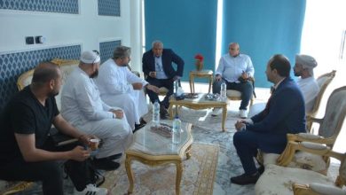 محافظ الوادي الجديد