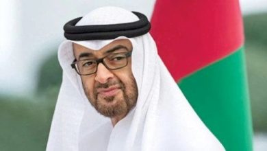 الرئيس الإماراتى
