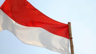 المديرية العامة للهجرة في إندونيسيا