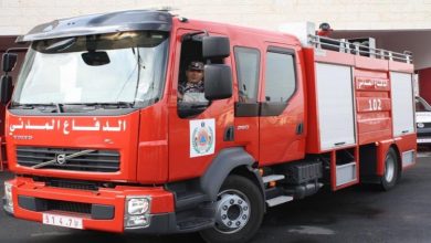 الدفاع المدني الفلسطيني