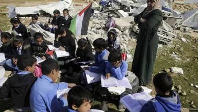 التعليم الفلسطينية