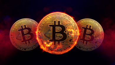 انتعاش العملات المشفرة لليوم الثاني.. والبيتكوين تتجاوز 66 ألف دولار بفعل استمرار تدفقات سيولة جديدة نحو سوق الأصول الرقمية