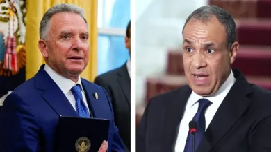 وزير الخارجية المصري يبحث مع المبعوث الأمريكي مستجدات الأوضاع الإقليمية وتطورات الشرق الأوسط