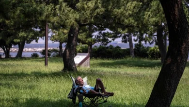 اليابان.. موجة حر تهدد الحياة ودرجات الحرارة تتجاوز 40 مئوية