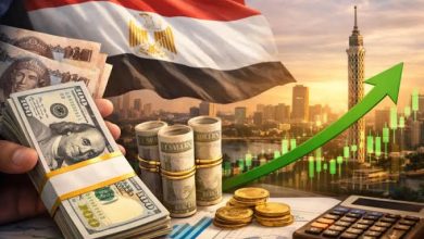 موجة خروج جديدة للأموال الساخنة من مصر