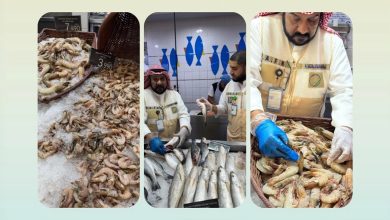«الغذاء»: إتلاف 144.260 كيلوغراماً من المواد الغذائية غير الصالحة للاستهلاك
