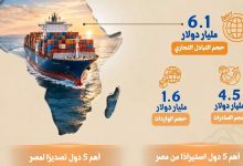 6.1 مليار دولار حجم التبادل التجاري بين مصر مع أفريقيا