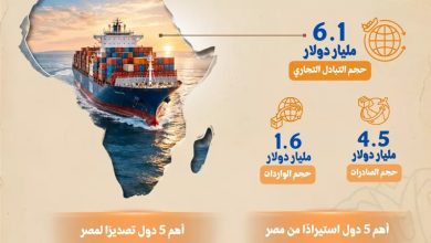 6.1 مليار دولار حجم التبادل التجاري بين مصر مع أفريقيا