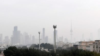أمطار رعدية وغبار وضباب خلال عطلة نهاية الأسبوع